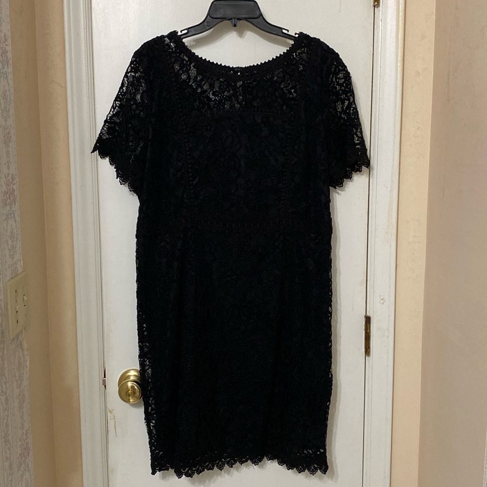 NWT Skies Are Blue XL Brittany Lace Dress